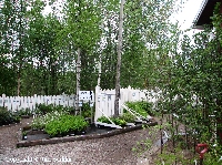 Taimiston kuva 2
